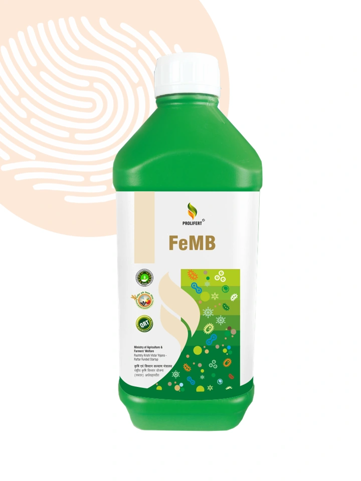 FeMB (Ferous Mobilizing Microorganism)