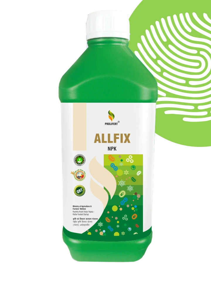 ALLFIX